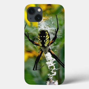 Orb Spider in Web iPhone 13 Case