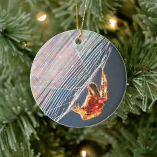 Orb Spider on Web Ceramic Tree Decoration