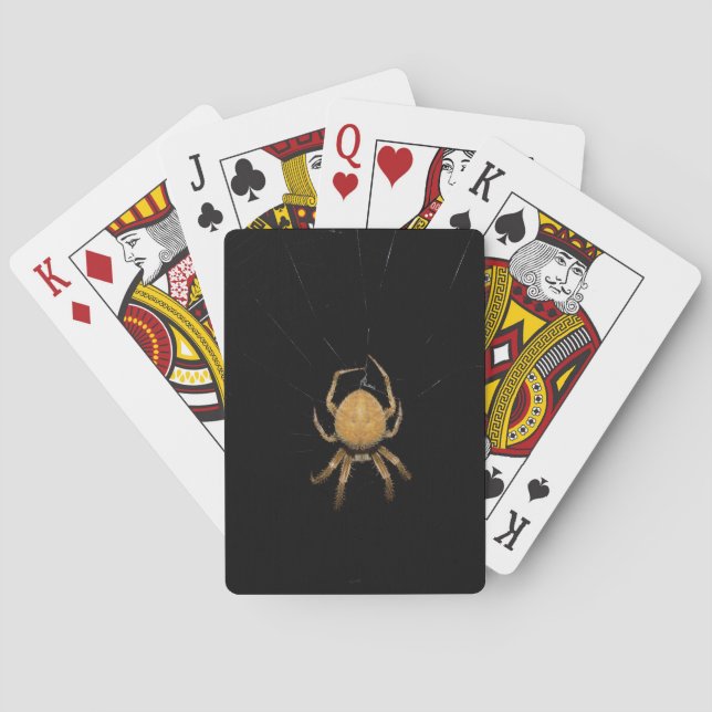 Orb Weaver Spider Playing Cards (Back)