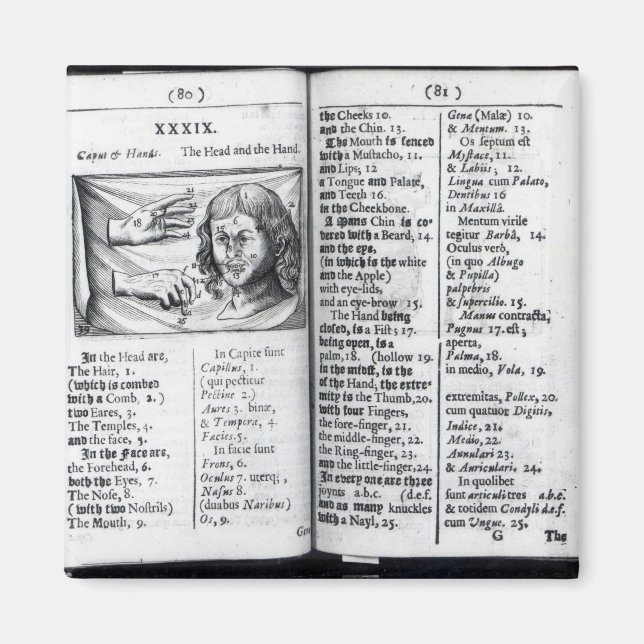 'Orbis Sensualium Pictus' Magnet (Front)