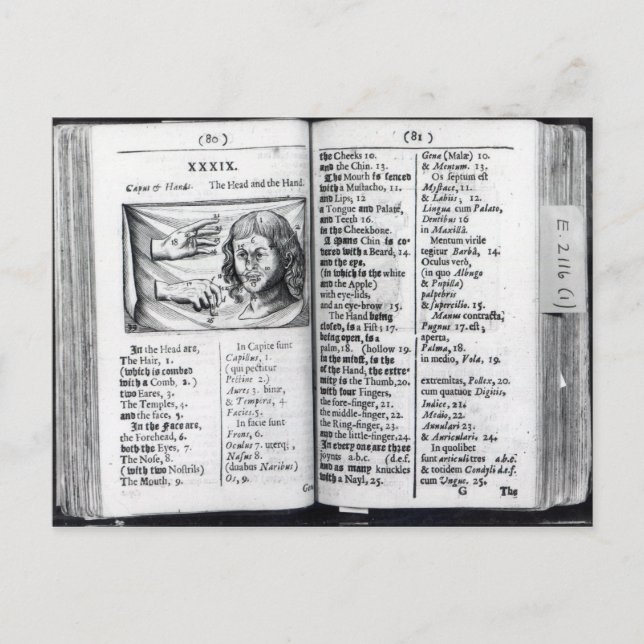 'Orbis Sensualium Pictus' Postcard (Front)