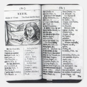 'Orbis Sensualium Pictus' Square Sticker