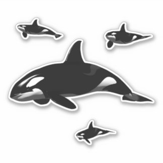 Orca