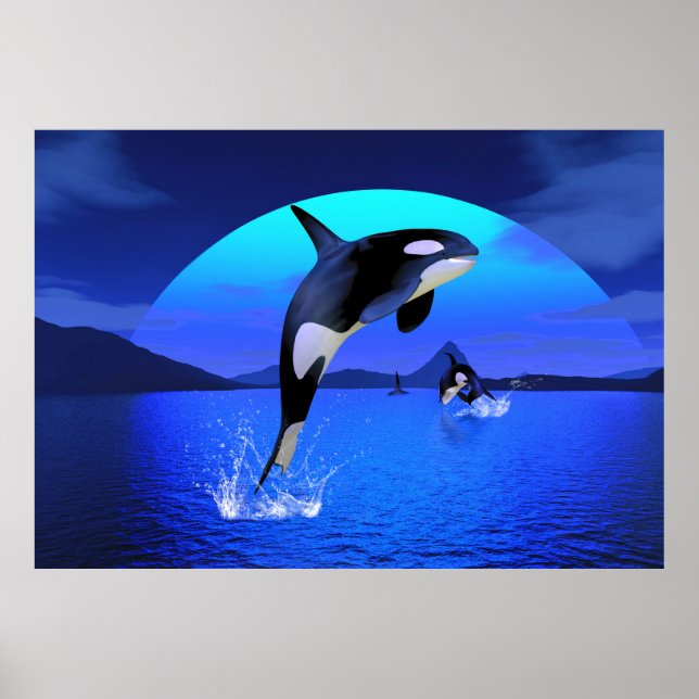 Orca 1 poster (Front)