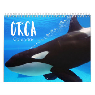 gift ideas for whale lovers