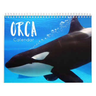 orca 2023 calendar funny & cute orcas