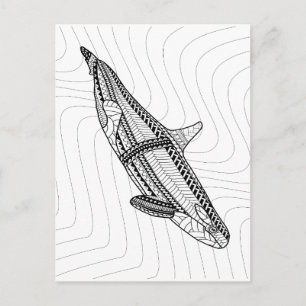 Orca Adult Colouring Postcard