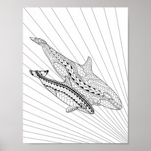 Orca And Baby Adult Colouring Poster
