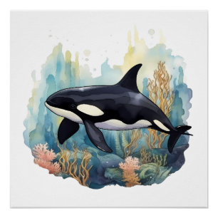 Orca And Coral Poster