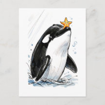 Orca Balancing Starfish Playfully Marine Ink Illus