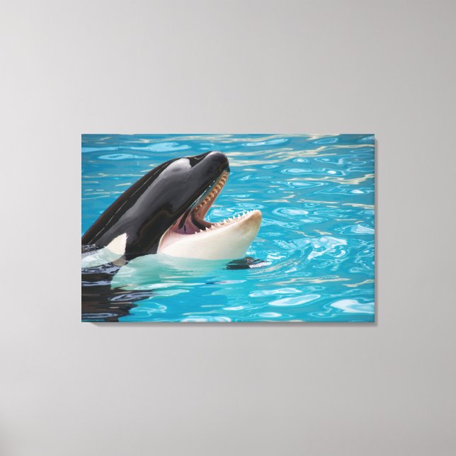 Orca canvas (Front)