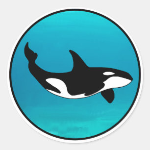 Orca Classic Round Sticker