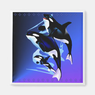 Orca Family Magnets