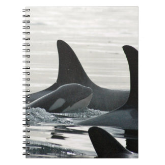 Orca Family Notebook