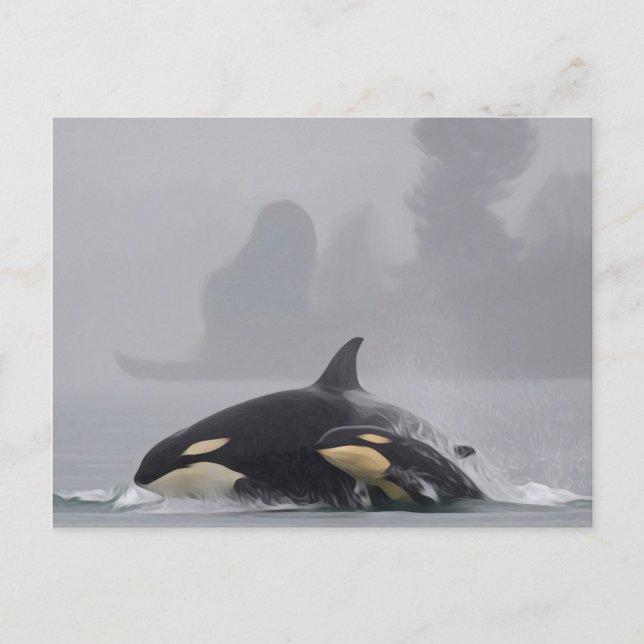 Orca Family Postcard (Front)