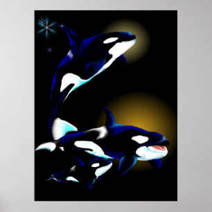 Orca Family Poster