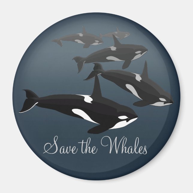 Orca Fridge Magnet Custom Killer Whale Art Magnet (Front)