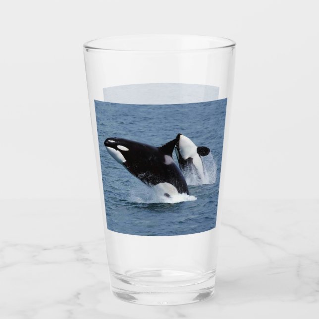 Orca Glass (Front)