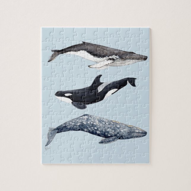 Orca, hunchbacked whale and gray whale jigsaw puzzle (Vertical)