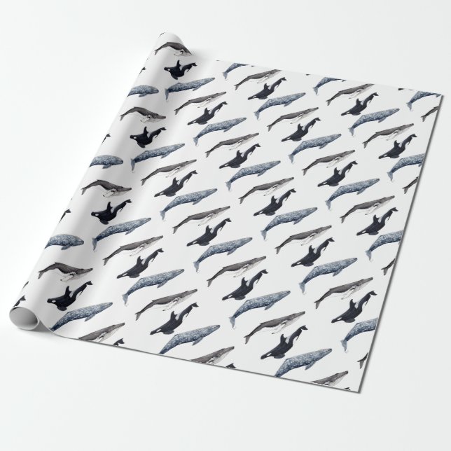 Orca, hunchbacked whale and gray whale wrapping paper (Unrolled)