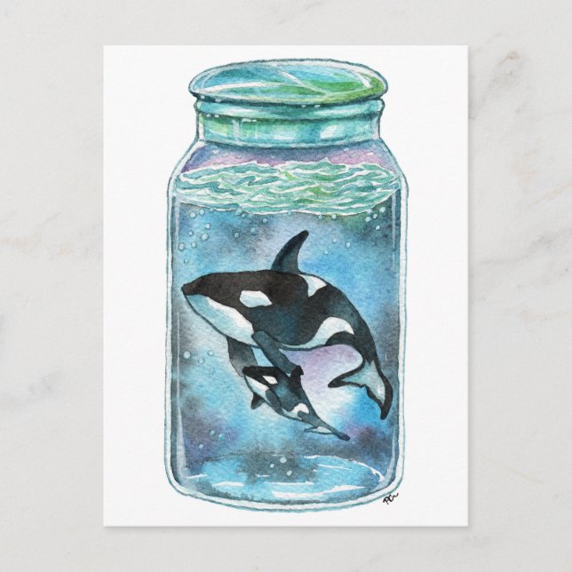 Orca in the Jar Holiday Postcard (Front)