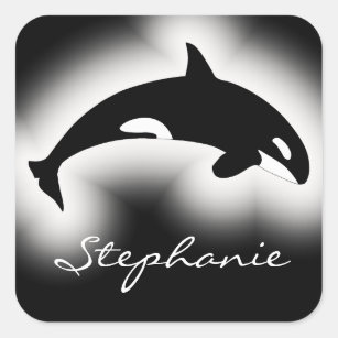 Orca Killer Whale Black White Nature Custom Name Square Sticker