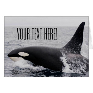 Orca Killer Whale Breaching Surface Custom Text