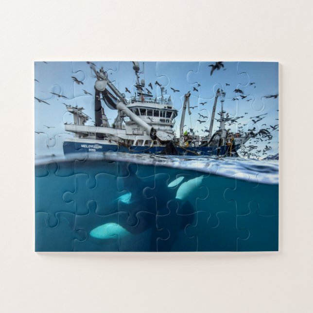 Orca Killer Whale Commercial Fishing Boat Ocean Jigsaw Puzzle (Horizontal)