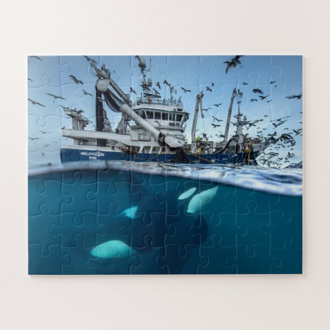 Orca Killer Whale Commercial Fishing Boat Ocean Jigsaw Puzzle (Horizontal)
