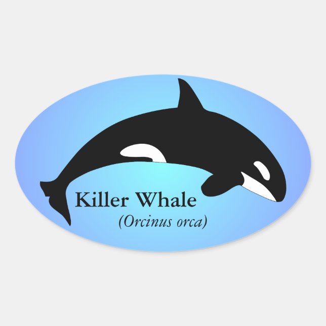 Orca Killer Whale Gradient Blue Oval Sticker (Front)