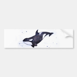 Orca Killer whale illustration Bumper Sticker
