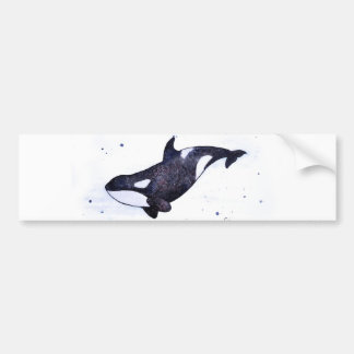 Orca Killer whale illustration Bumper Sticker