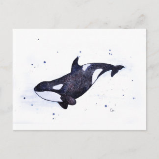 Orca Killer whale illustration Postcard
