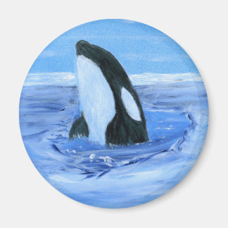 Orca killer whale magnet