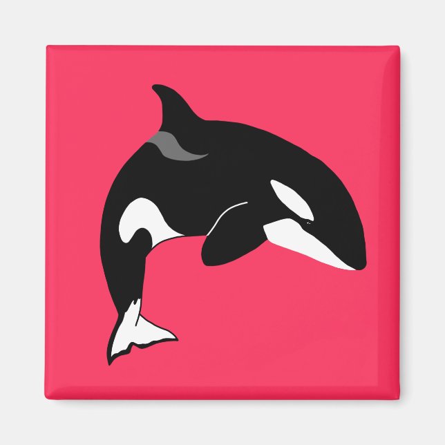 Orca Killer Whale  Magnet (Front)