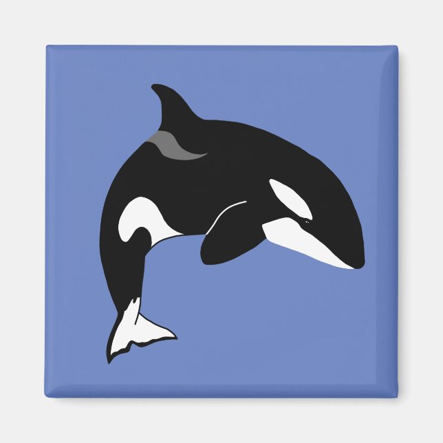 Orca Killer Whale  Magnet (Front)