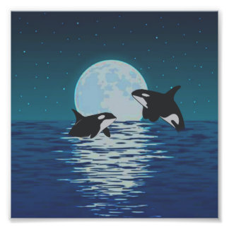 Orca Killer Whale Moonlight Photo Print