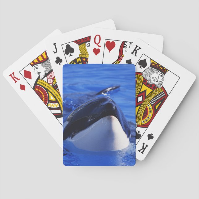 Orca Killer Whale Playing Cards (Back)