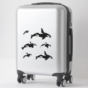 Orca Killer Whale Set