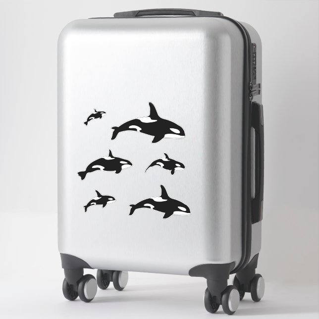 Orca Killer Whale Set (Suitcase)