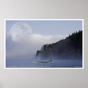 Orca Killer Whale & Super Moon Wildlife Art Poster