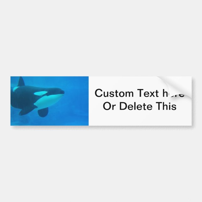 orca killer whale underwater blue bumper sticker (Front)