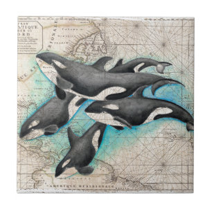 Orca Map Atlas Tile