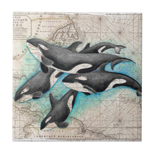 Orca Map Atlas Tile (Front)