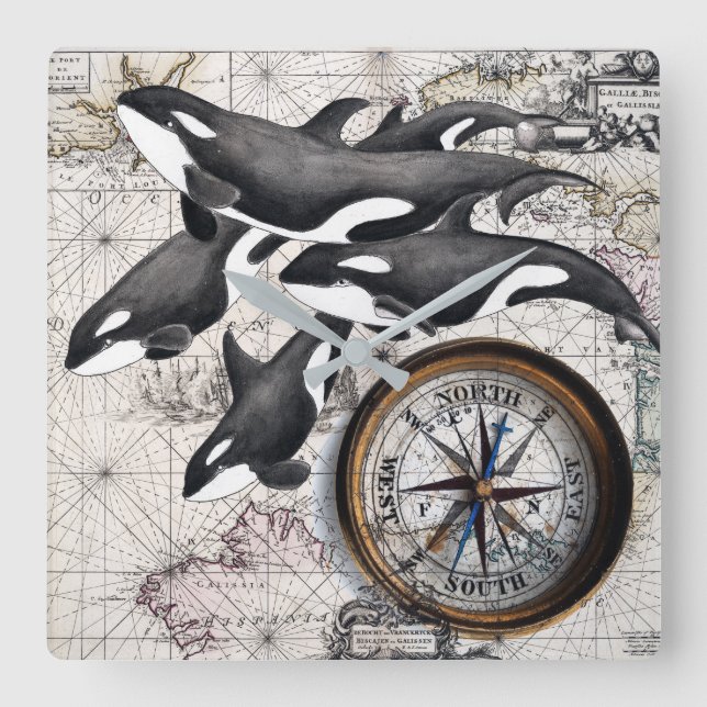 Orca Nautical Compass Square Wall Clock (Front)