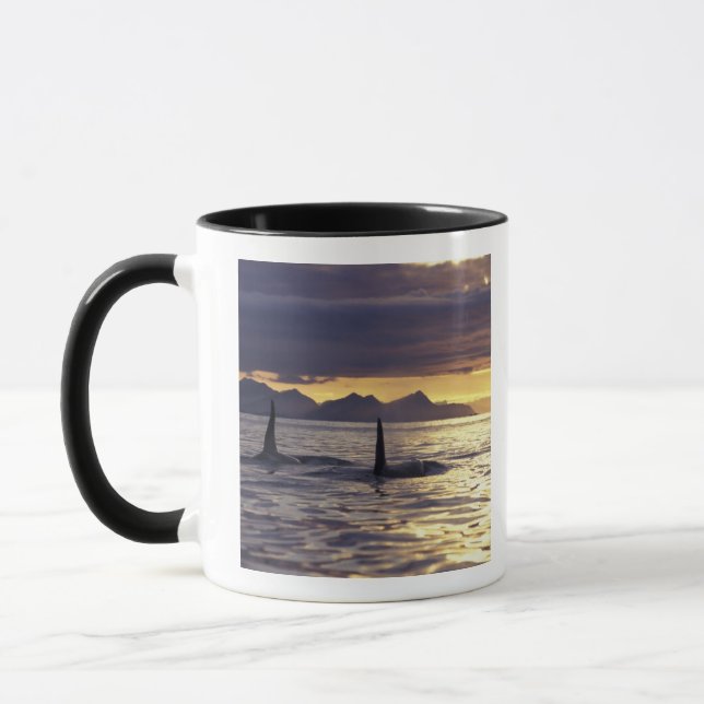Orca or Killer whales Mug (Left)