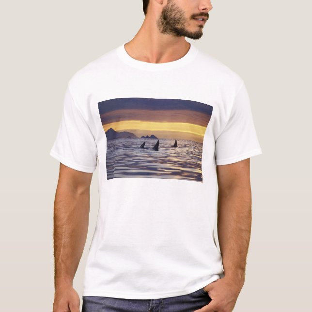 Orca or Killer Whales T-Shirt (Front)