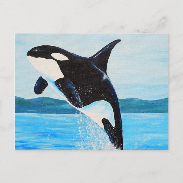 Orca Painting Postcard (Front)
