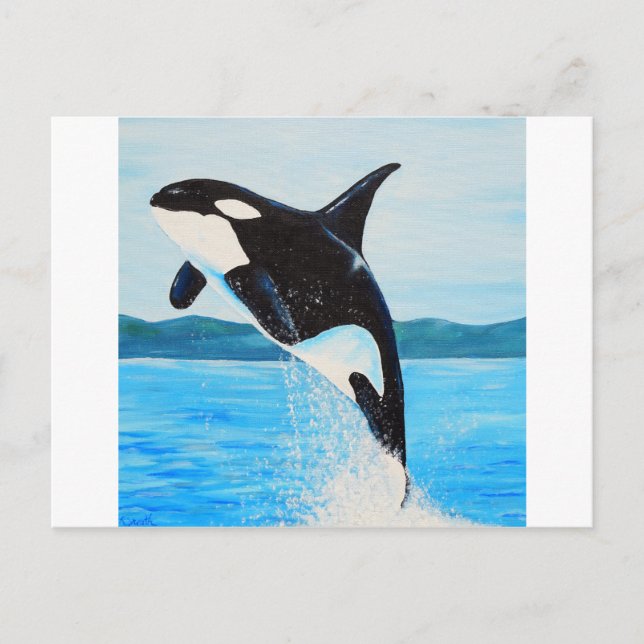 Orca Painting Postcard (Front)
