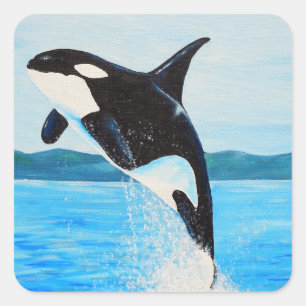 Orca Painting Square Sticker